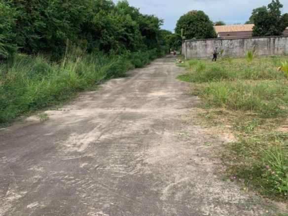 For Sale: Good location land 101 sq.w. Nong Prue