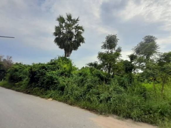 Beautiful Place, Good Location  155 SQW. @ Chaiyapruek Road