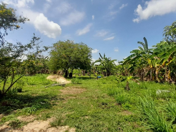 The Last 2 Plots! Prime Location 115 SQW. @ Bang Saray