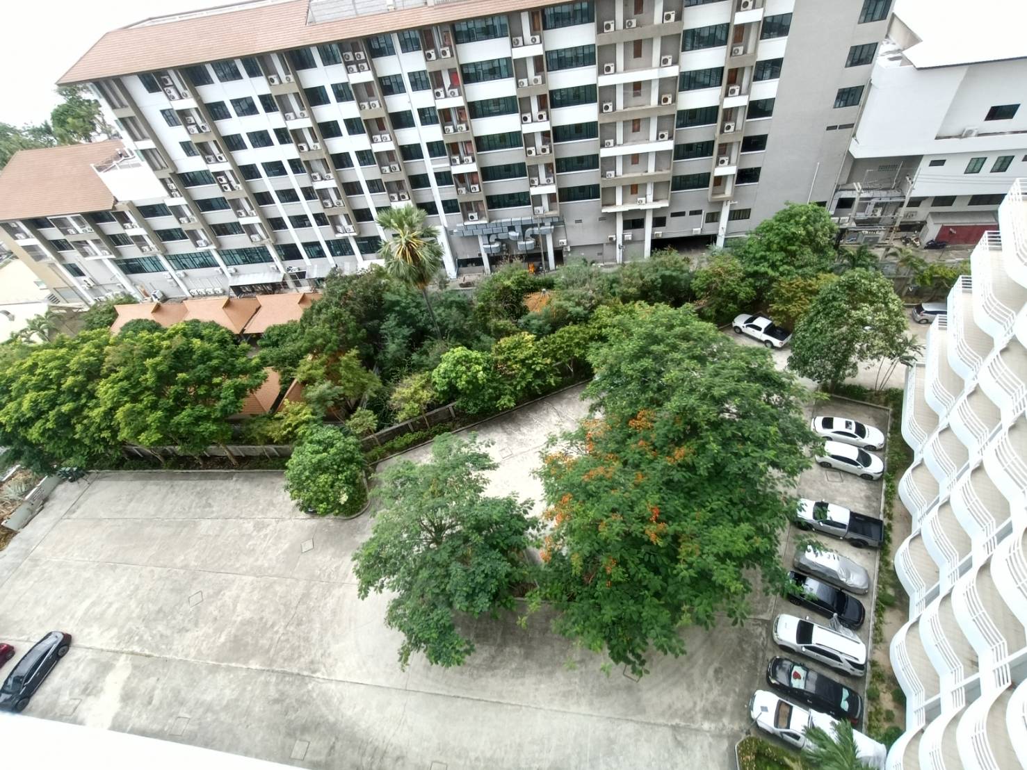 Newly Renovated Condo Studio 48 SQM. @ View Talay 7