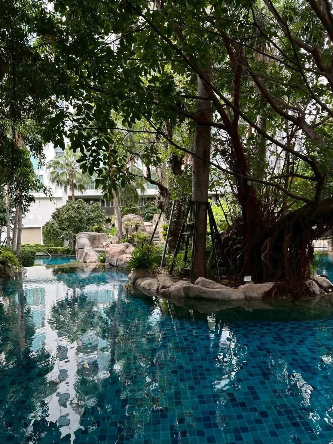 Convenient Transportation Condo 1 Bed, 1 Bath 36 SQM. @ The Riviera Wongamat Beach