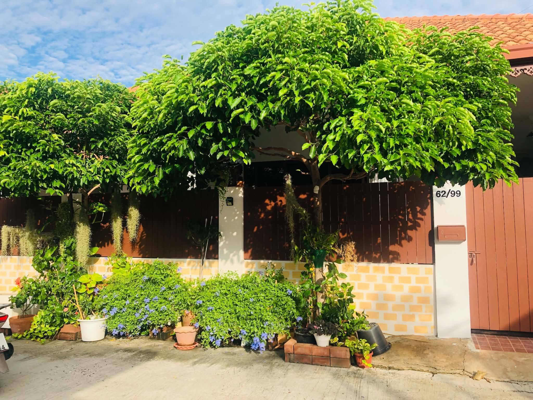 775426311_28176247042010872_5954442311052423090_n Nice home in a top location 3 Bed, 3 Bath 56 SQW.@ Bann Ekmongkol 8